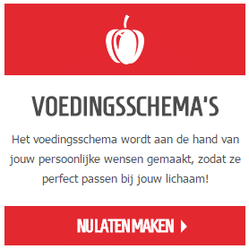 fitnessschemas - voedingsschemas